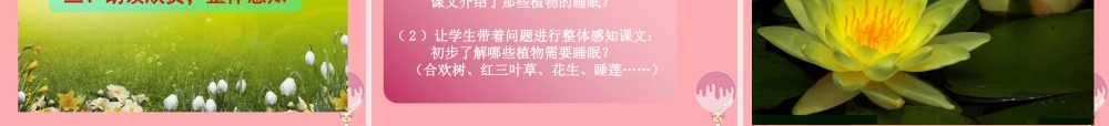 三年级语文上册 第三单元 植物的睡眠课件6 西师大版-西师大版小学三年级上册语文课件