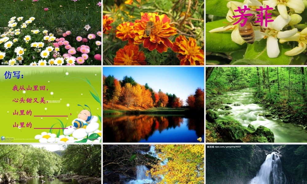 三年级语文上册 第四单元 我从山里回课件2 长春版-长春版小学三年级上册语文课件