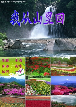 三年级语文上册 第四单元 我从山里回课件2 长春版-长春版小学三年级上册语文课件