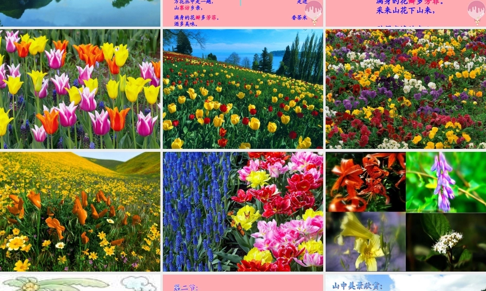 三年级语文上册 第四单元 我从山里回课件3 长春版-长春版小学三年级上册语文课件