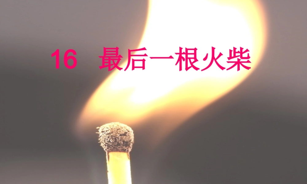 三年级语文上册《最后一根火柴》课件2 语文A版-语文A版小学三年级上册语文课件