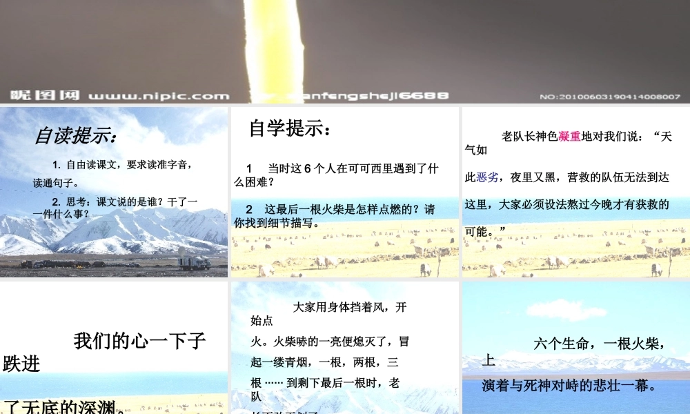 三年级语文上册《最后一根火柴》课件2 语文A版-语文A版小学三年级上册语文课件