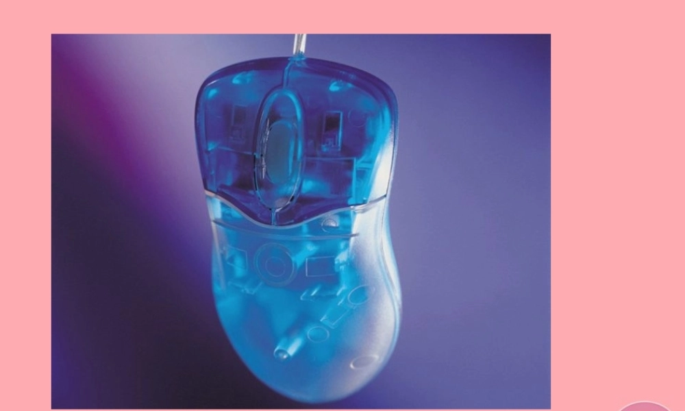 三年级语文上册 第五单元 未来书包 鼠标课件2 长春版-长春版小学三年级上册语文课件