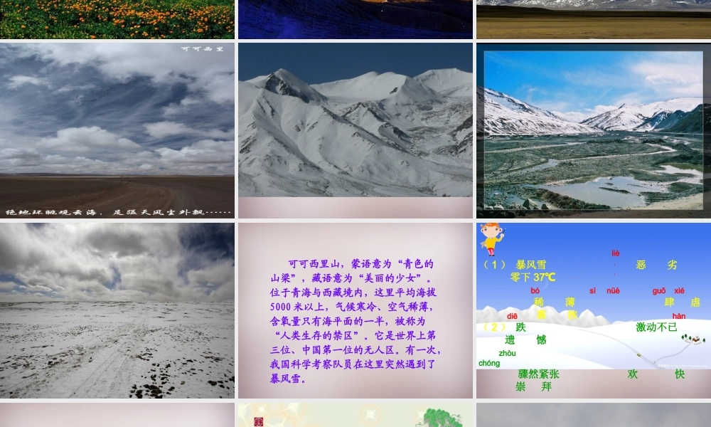 三年级语文上册《最后一根火柴》课件5 语文A版-语文A版小学三年级上册语文课件