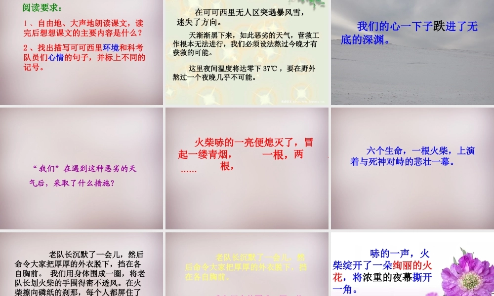 三年级语文上册《最后一根火柴》课件5 语文A版-语文A版小学三年级上册语文课件