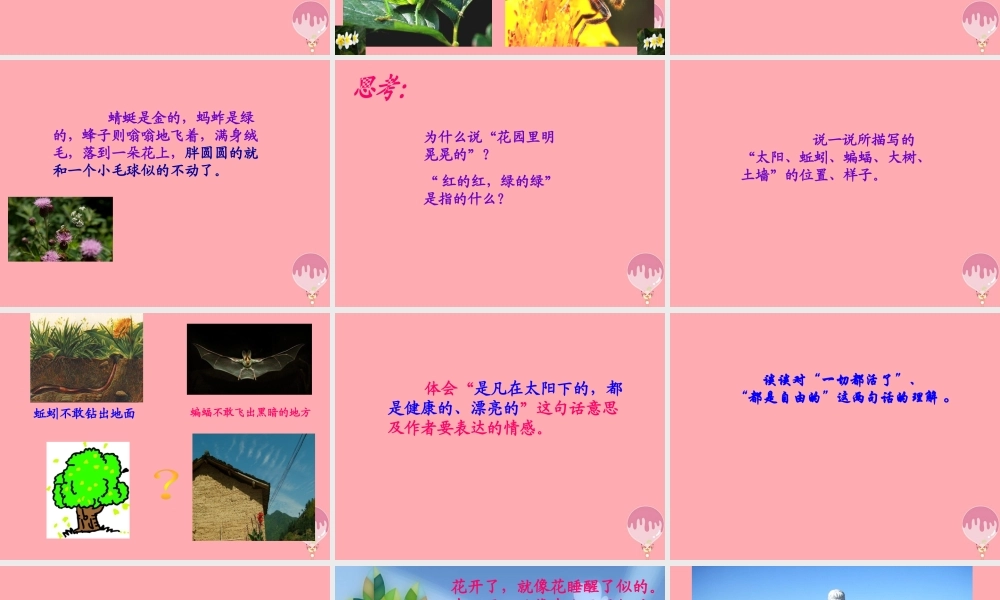 三年级语文上册 第四单元 乡村里的大花园课件1 长春版-长春版小学三年级上册语文课件