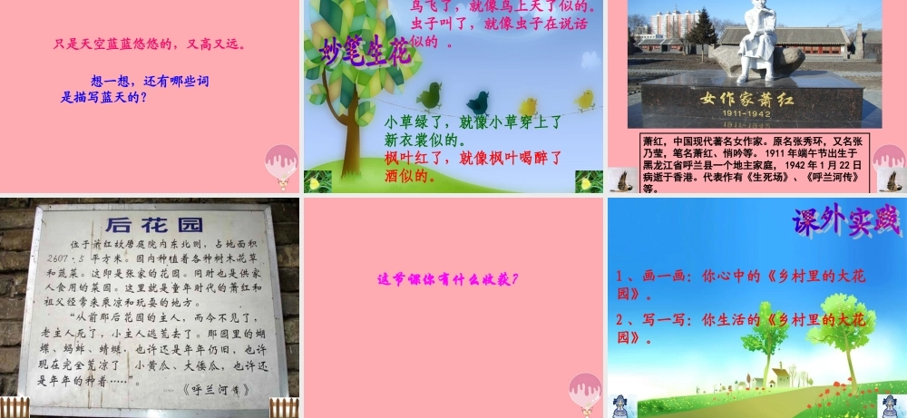三年级语文上册 第四单元 乡村里的大花园课件1 长春版-长春版小学三年级上册语文课件