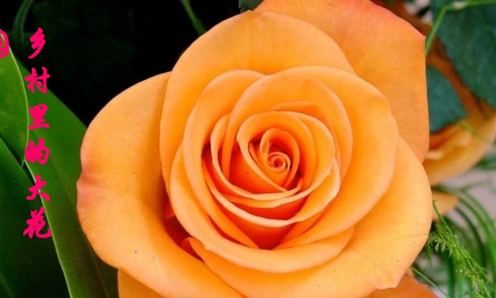 三年级语文上册 第四单元 乡村里的大花园课件3 长春版-长春版小学三年级上册语文课件