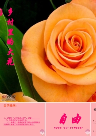 三年级语文上册 第四单元 乡村里的大花园课件3 长春版-长春版小学三年级上册语文课件