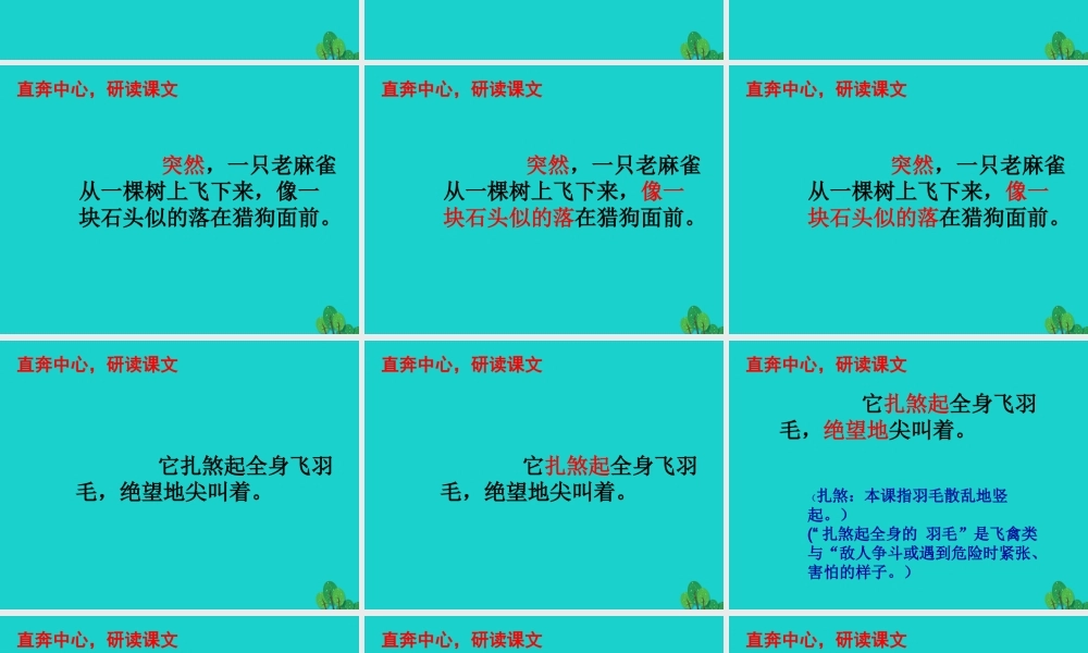 三年级语文下册 1《亲情》麻雀教学课件 北师大版-北师大版小学三年级下册语文课件