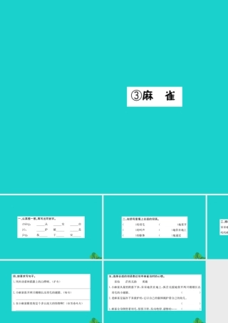 三年级语文下册 1《亲情》麻雀习题课件 北师大版-北师大版小学三年级下册语文课件