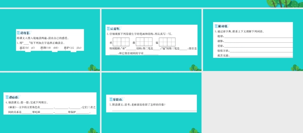 三年级语文下册 1《亲情》麻雀预习课件 北师大版-北师大版小学三年级下册语文课件