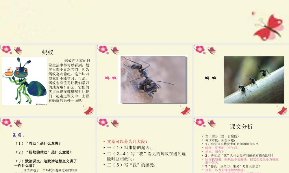 三年级语文下册 第2单元 7《蚂蚁的救助》课件1 语文S版-语文S版小学三年级下册语文课件