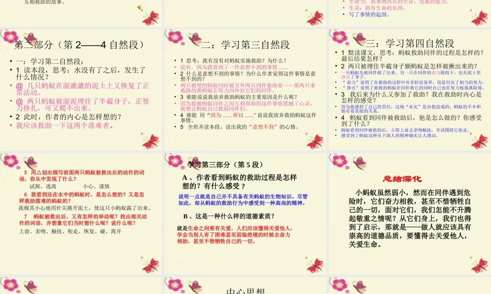 三年级语文下册 第2单元 7《蚂蚁的救助》课件1 语文S版-语文S版小学三年级下册语文课件