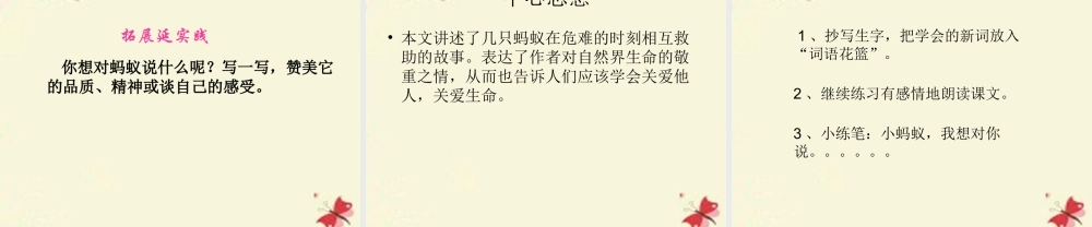 三年级语文下册 第2单元 7《蚂蚁的救助》课件1 语文S版-语文S版小学三年级下册语文课件