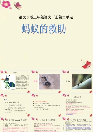 三年级语文下册 第2单元 7《蚂蚁的救助》课件1 语文S版-语文S版小学三年级下册语文课件