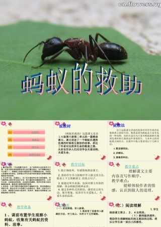 三年级语文下册 第2单元 7《蚂蚁的救助》课件2 语文S版-语文S版小学三年级下册语文课件
