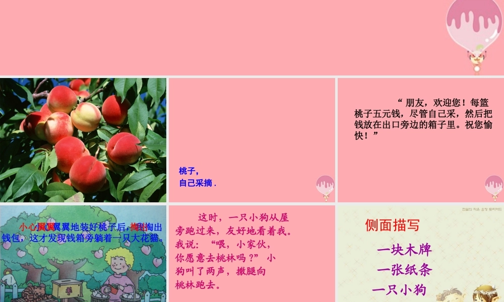 三年级语文上册 第五单元 信任课件2 鄂教版-鄂教版小学三年级上册语文课件