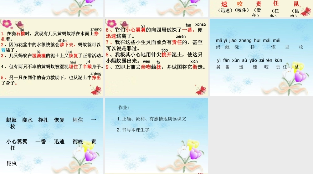 三年级语文下册 第2单元 7《蚂蚁的救助》课件3 语文S版-语文S版小学三年级下册语文课件