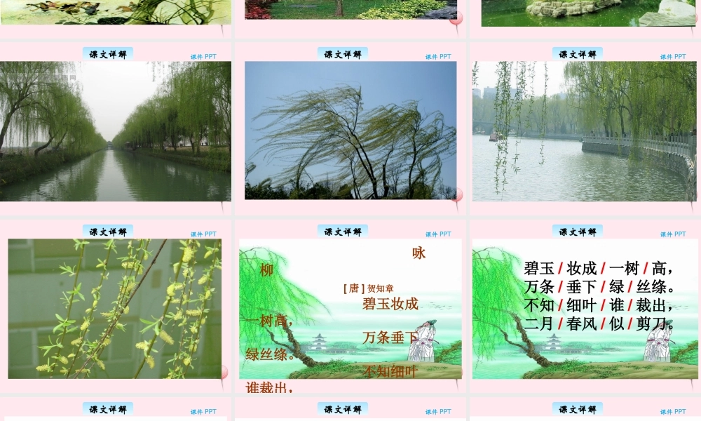 三年级语文下册 2.1《咏柳》课件 长春版-长春版小学三年级下册语文课件