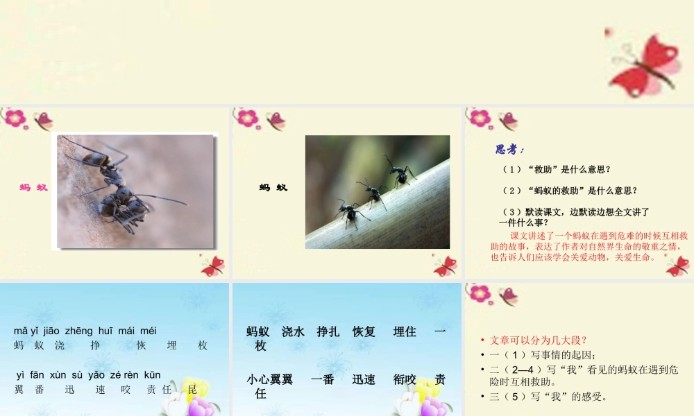 三年级语文下册 第2单元 7《蚂蚁的救助》课件4 语文S版-语文S版小学三年级下册语文课件