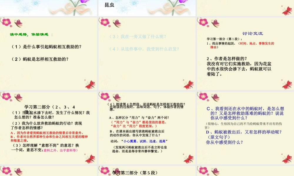 三年级语文下册 第2单元 7《蚂蚁的救助》课件4 语文S版-语文S版小学三年级下册语文课件