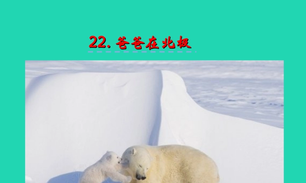 三年级语文上册 第六单元 22 爸爸在北极课件 湘教版-湘教版小学三年级上册语文课件