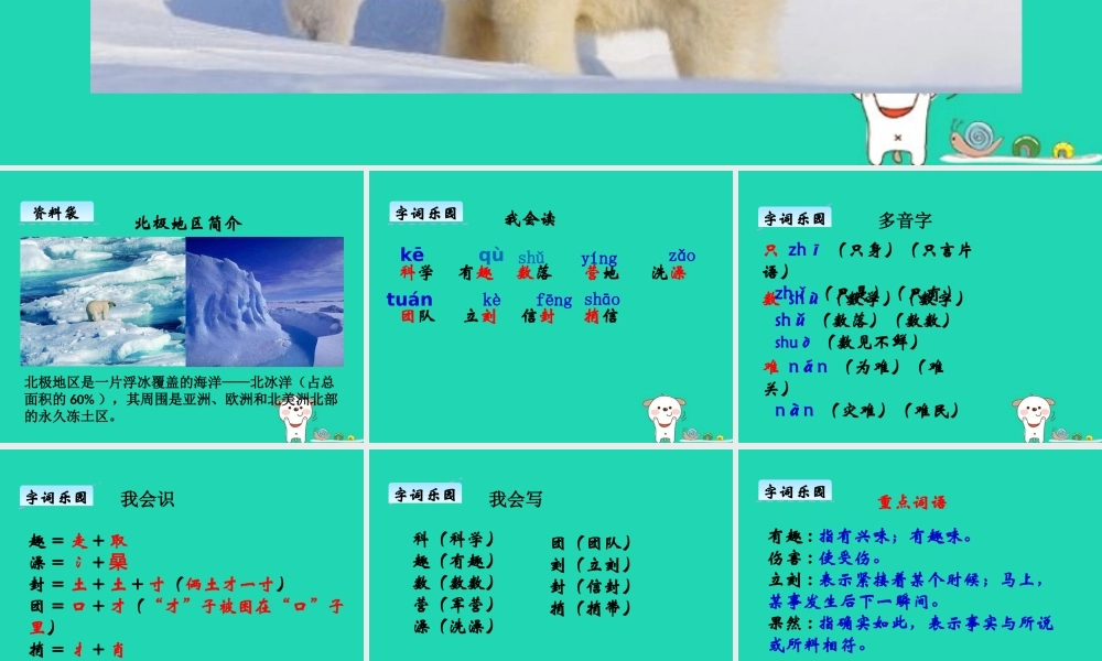 三年级语文上册 第六单元 22 爸爸在北极课件 湘教版-湘教版小学三年级上册语文课件