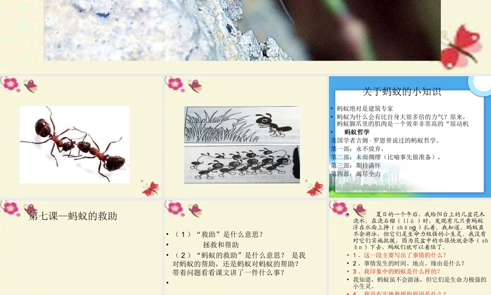 三年级语文下册 第2单元 7《蚂蚁的救助》课件6 语文S版-语文S版小学三年级下册语文课件