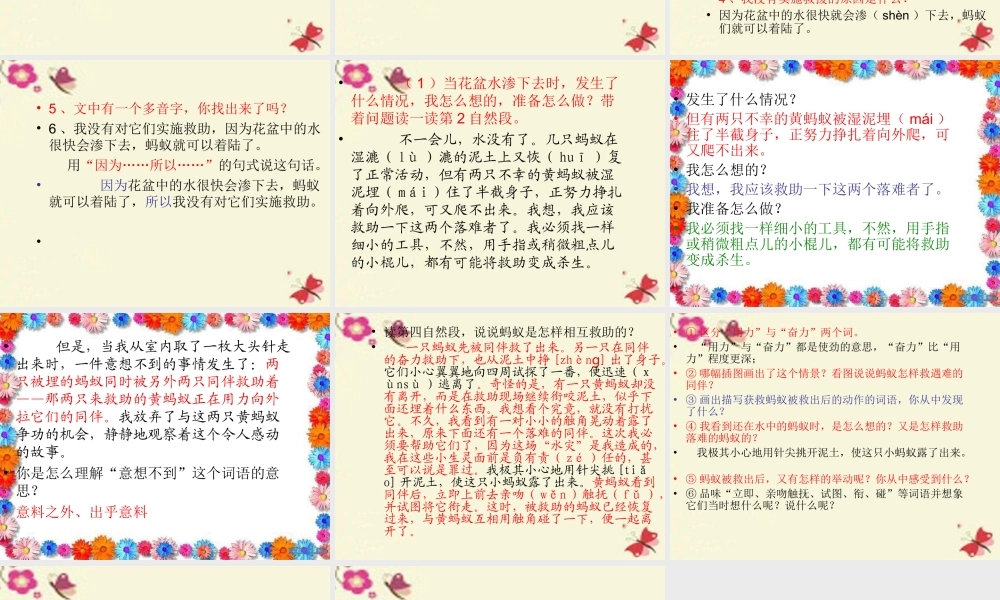 三年级语文下册 第2单元 7《蚂蚁的救助》课件6 语文S版-语文S版小学三年级下册语文课件