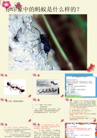 三年级语文下册 第2单元 7《蚂蚁的救助》课件6 语文S版-语文S版小学三年级下册语文课件