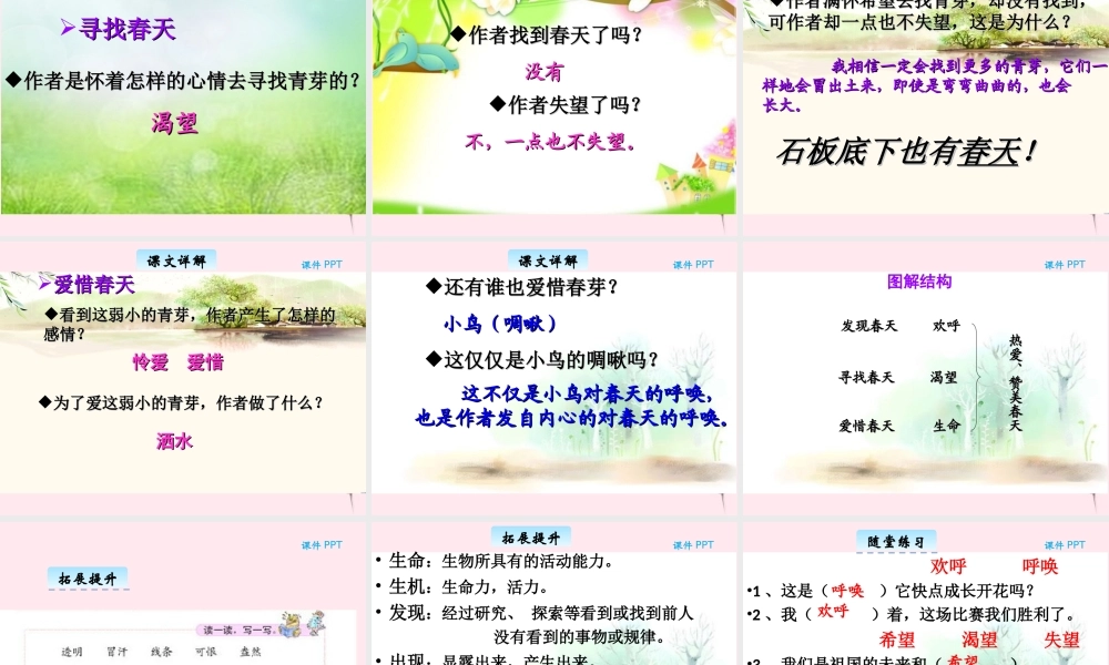 三年级语文下册 2.4《春芽》课件 长春版-长春版小学三年级下册语文课件