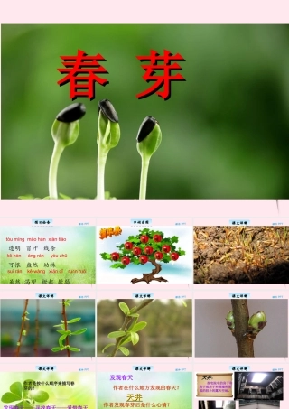 三年级语文下册 2.4《春芽》课件 长春版-长春版小学三年级下册语文课件