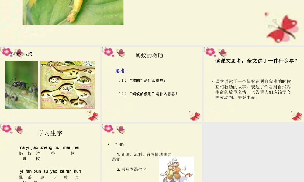 三年级语文下册 第2单元 7《蚂蚁的救助》课件7 语文S版-语文S版小学三年级下册语文课件