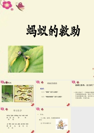 三年级语文下册 第2单元 7《蚂蚁的救助》课件7 语文S版-语文S版小学三年级下册语文课件