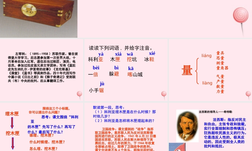 三年级语文上册 第六单元 22《科利亚的木匣》课件1 鲁教版-鲁教版小学三年级上册语文课件