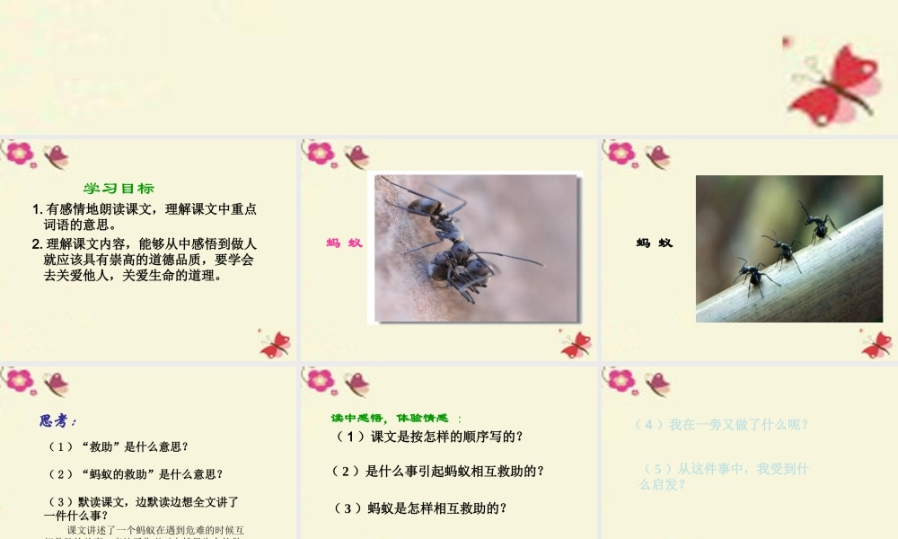 三年级语文下册 第2单元 7《蚂蚁的救助》课件9 语文S版-语文S版小学三年级下册语文课件