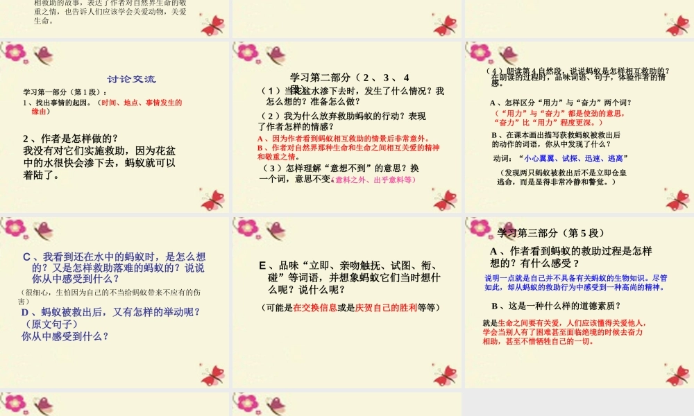 三年级语文下册 第2单元 7《蚂蚁的救助》课件9 语文S版-语文S版小学三年级下册语文课件