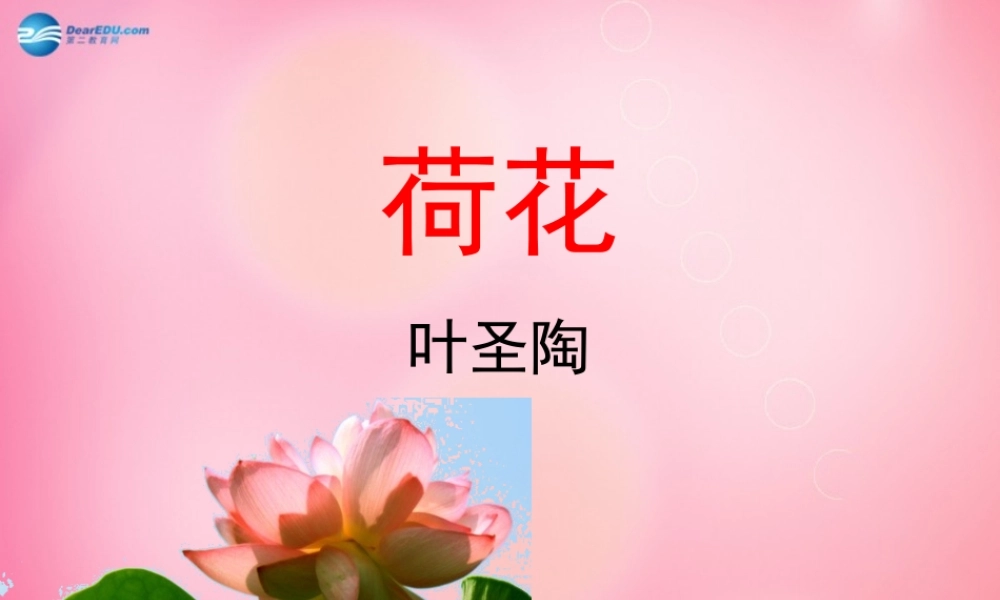 三年级语文下册 3 荷花（第二课时）教学课件 新人教版-新人教版小学三年级下册语文课件