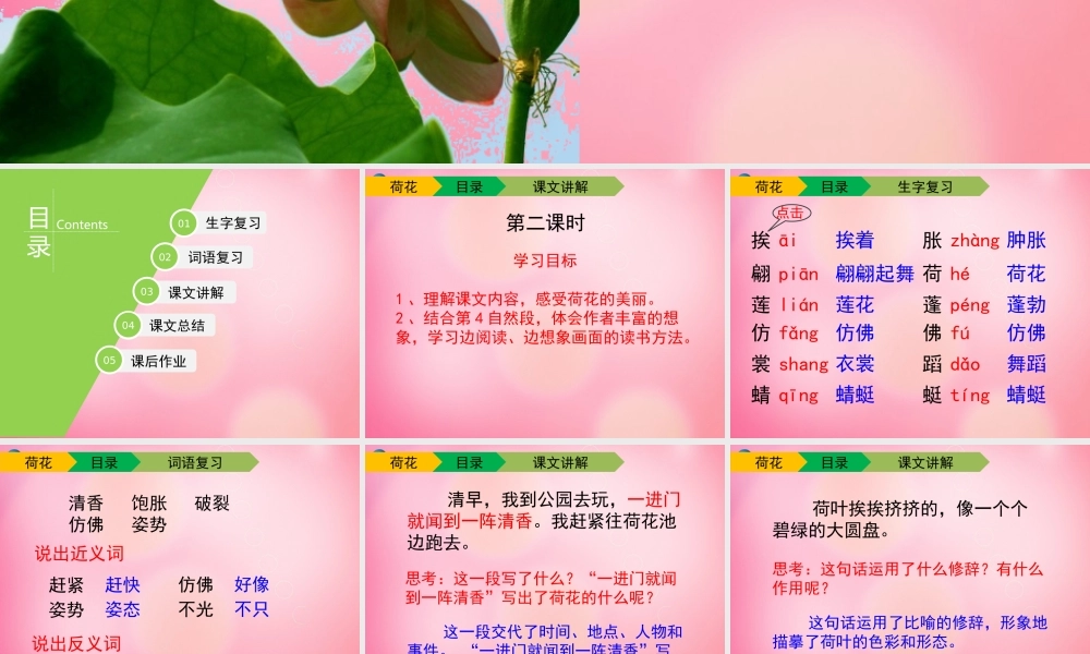 三年级语文下册 3 荷花（第二课时）教学课件 新人教版-新人教版小学三年级下册语文课件