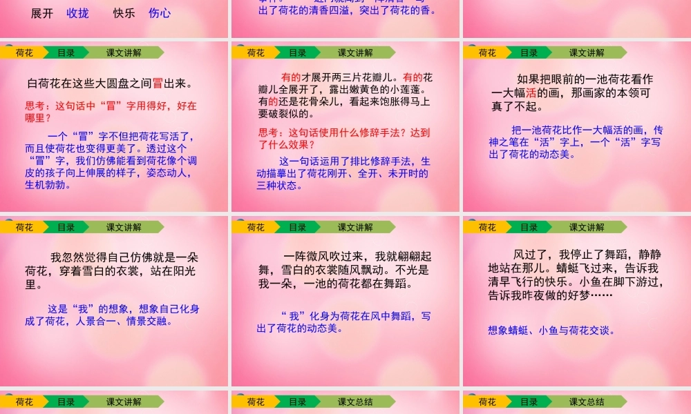 三年级语文下册 3 荷花（第二课时）教学课件 新人教版-新人教版小学三年级下册语文课件