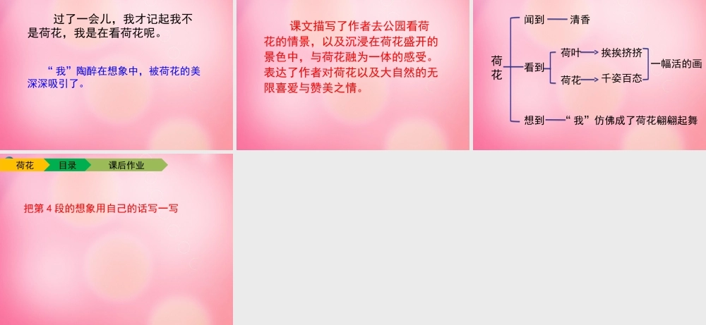 三年级语文下册 3 荷花（第二课时）教学课件 新人教版-新人教版小学三年级下册语文课件