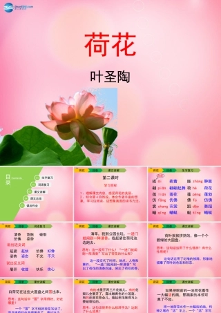 三年级语文下册 3 荷花（第二课时）教学课件 新人教版-新人教版小学三年级下册语文课件