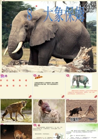 三年级语文下册 第2单元 8《大象保姆》课件1 语文S版-语文S版小学三年级下册语文课件