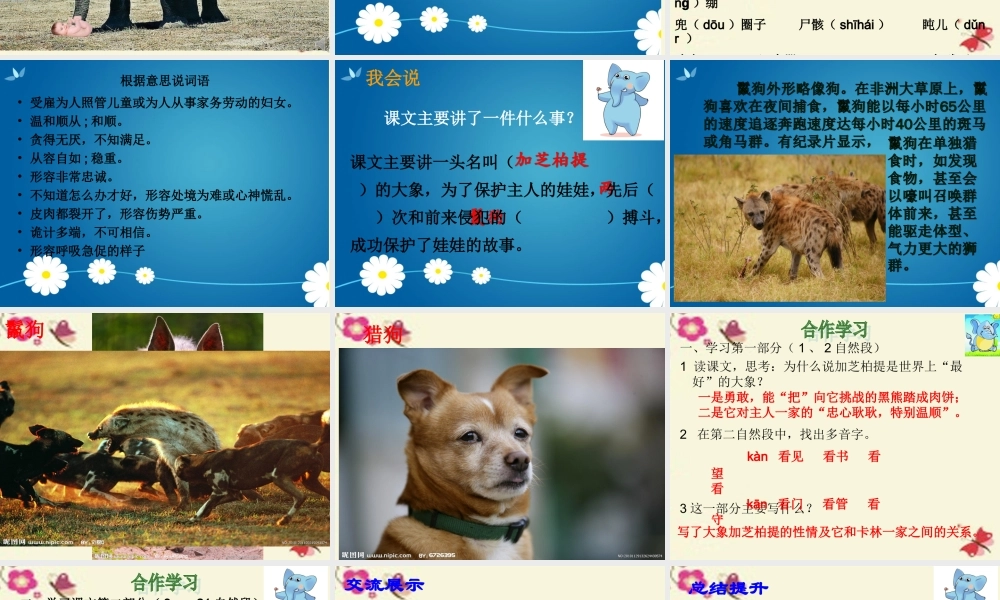 三年级语文下册 第2单元 8《大象保姆》课件3 语文S版-语文S版小学三年级下册语文课件