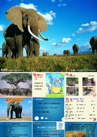 三年级语文下册 第2单元 8《大象保姆》课件3 语文S版-语文S版小学三年级下册语文课件