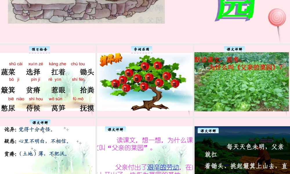 三年级语文下册 3.3《父亲的菜园》课件 长春版-长春版小学三年级下册语文课件