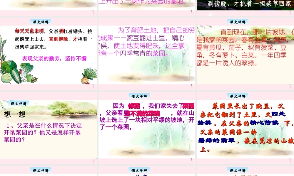 三年级语文下册 3.3《父亲的菜园》课件 长春版-长春版小学三年级下册语文课件