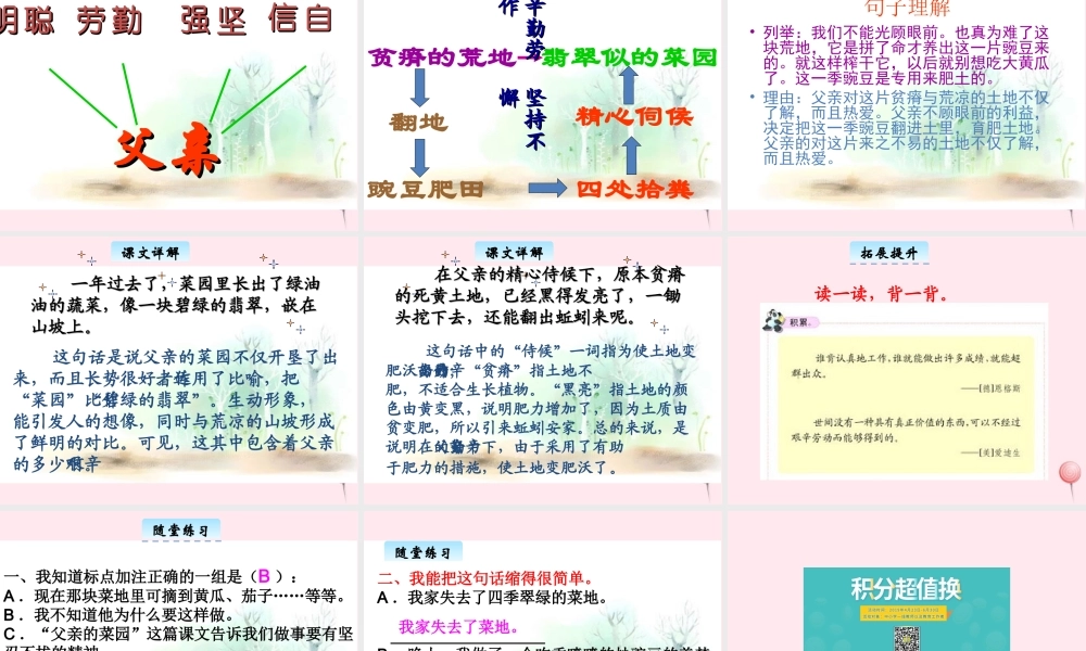 三年级语文下册 3.3《父亲的菜园》课件 长春版-长春版小学三年级下册语文课件