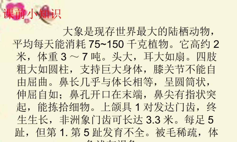 三年级语文下册 第2单元 8《大象保姆》课件4 语文S版-语文S版小学三年级下册语文课件